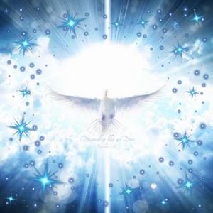 Meet your Posher, Brigitte